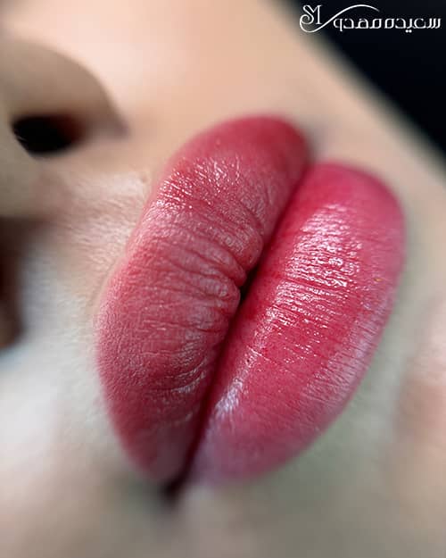 شیدینگ لب- ۱۰۰