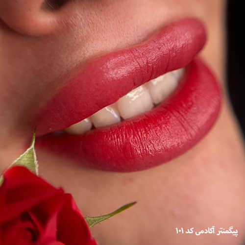 شیدینگ لب ۱۰۱