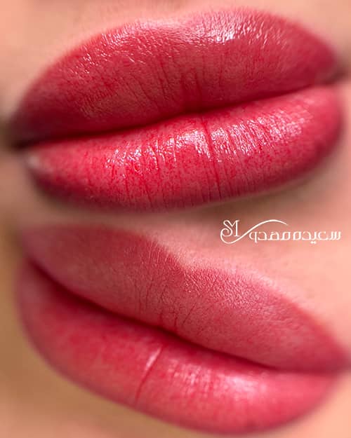 شیدینگ لب - ۱۰۱