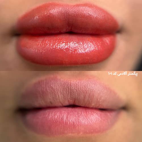 شیدینگ لب ۱۰۱