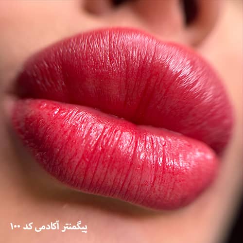 شیدینگ لب ۱۰۰