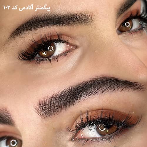 میکروبلیدینگ ابرو ۱۰۳